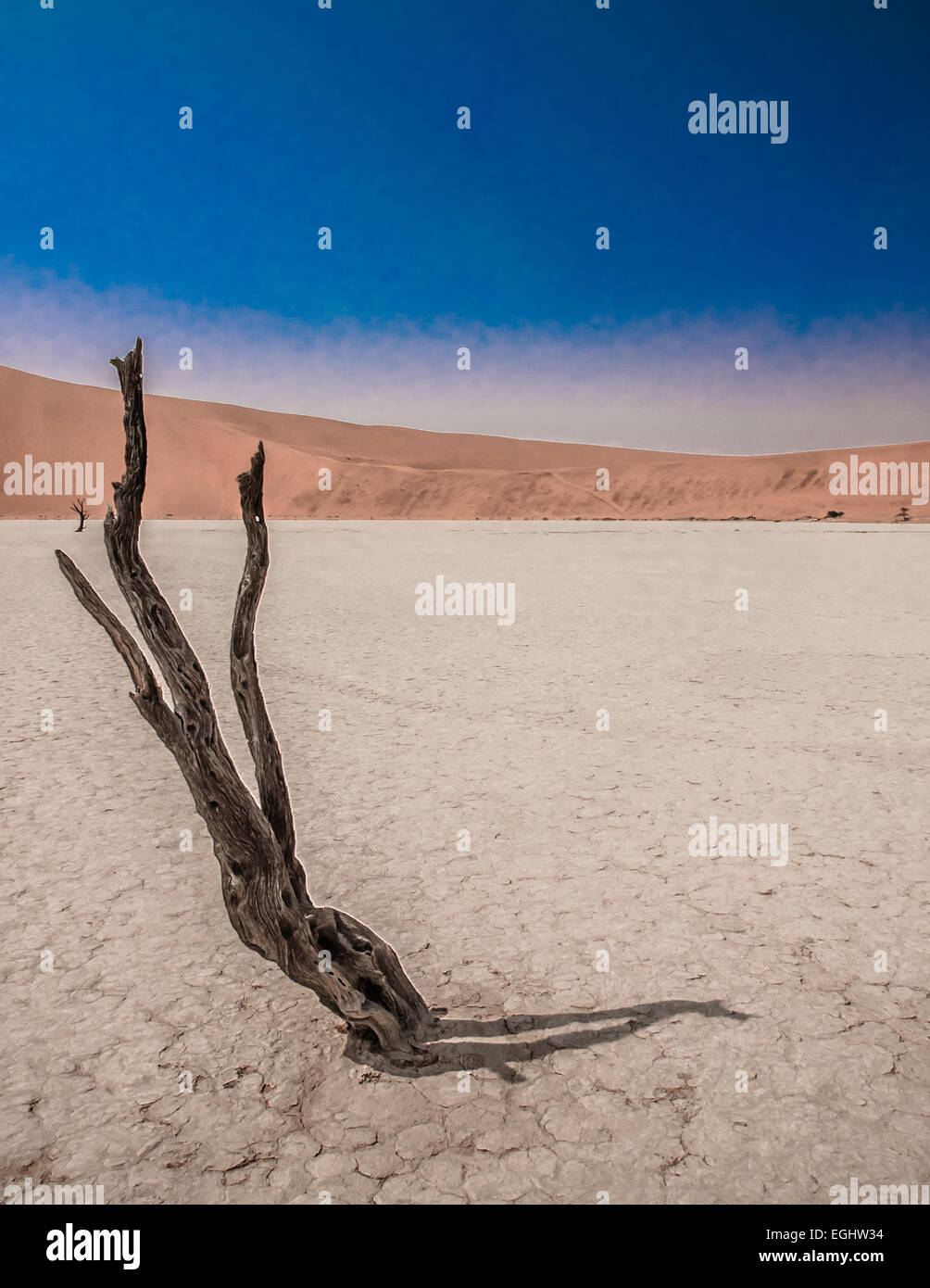 Paysage surréaliste dans le désert du Namib au lever du soleil Banque D'Images