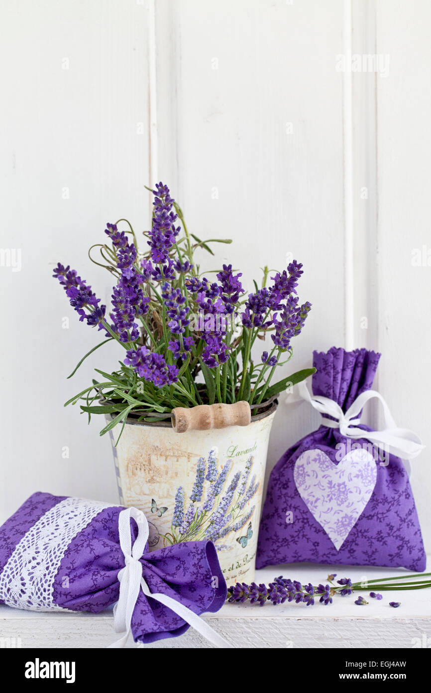 Lavendel, Blüten, Duftsäckchen, Blumentopf Banque D'Images
