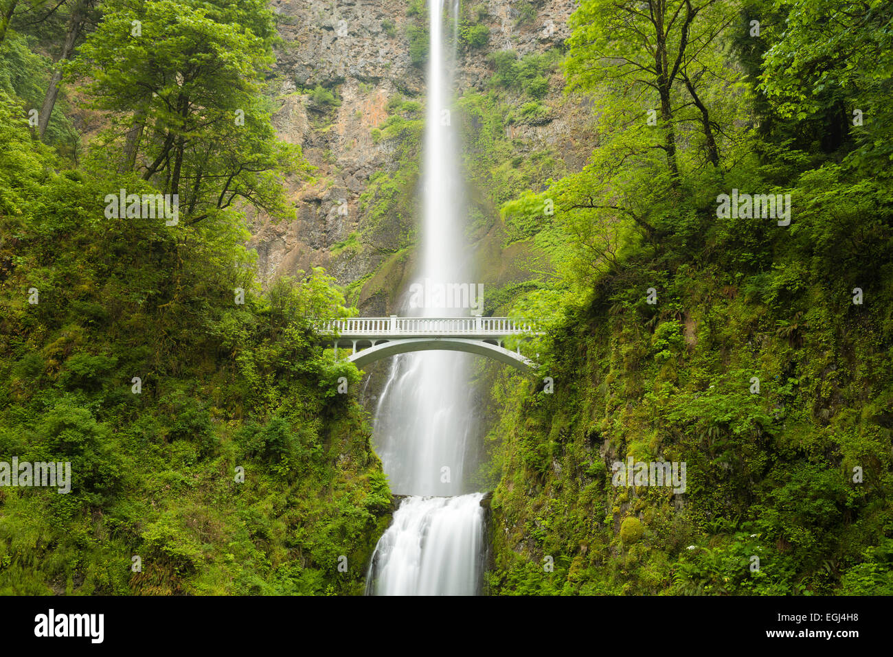 Les USA, l'Amérique, New York, Columbia River Gorge, chutes de Multnomah, cascade, pont, vert jonc, l'atmosphère, les paysages, Banque D'Images Les USA, l'Amérique, New York, Columbia River Gorge, chutes de Multnomah, cascade, pont, vert jonc, l'atmosphère, les paysages, Banque D'Images