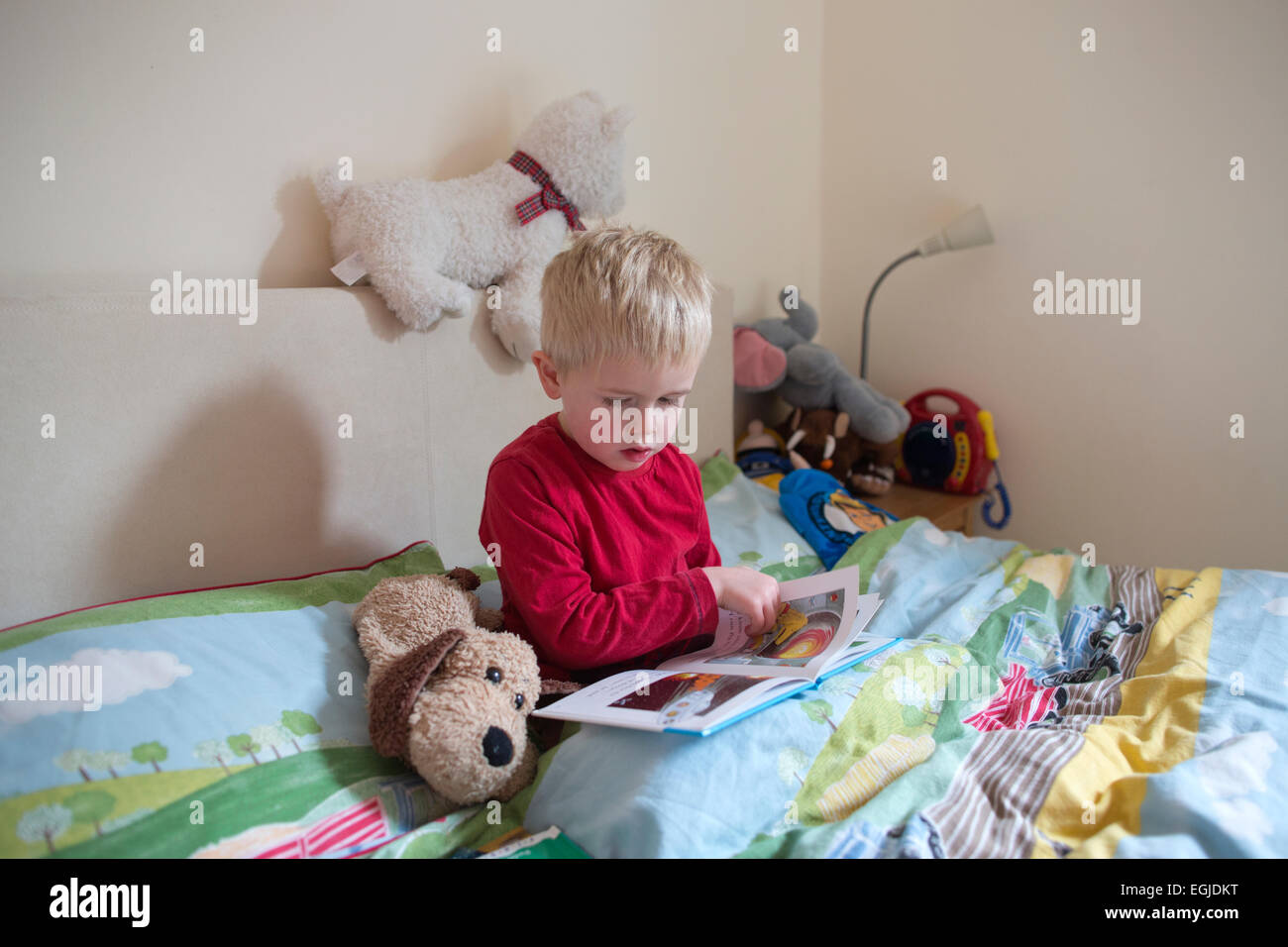 4 ans de lire un livre assis dans son lit. UK Banque D'Images