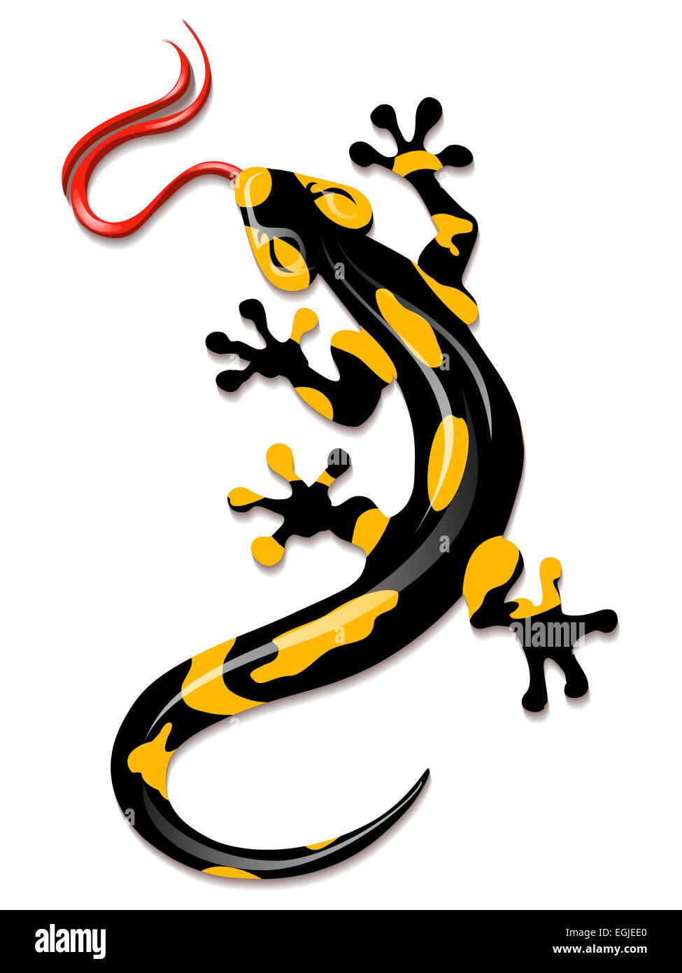 Salamander dessiné dans un style de dessin animé. Isolé sur fond blanc. Banque D'Images