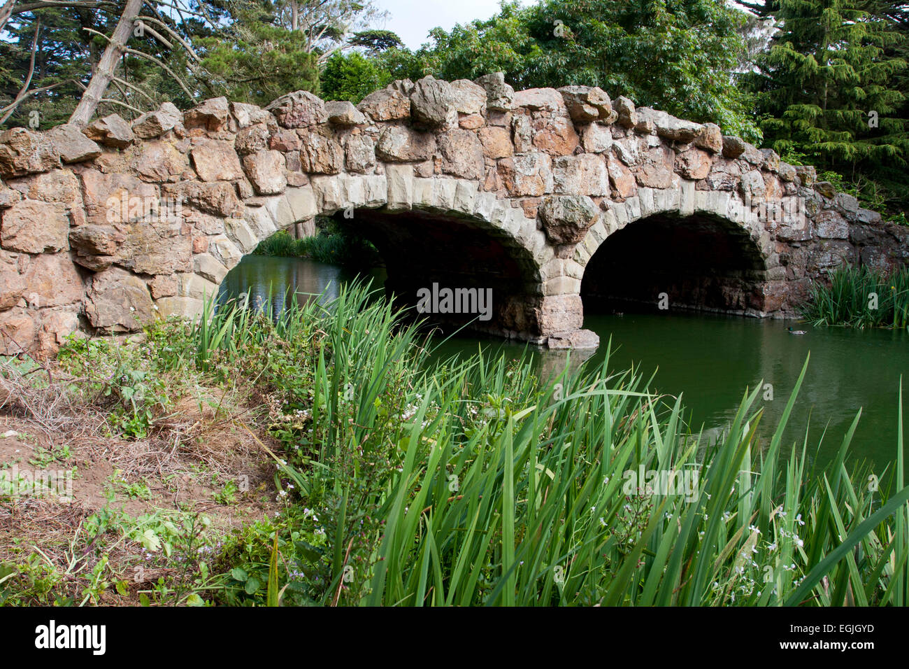 Le pont de pierre à deux arches sur le périmètre de Stow Lake dans le Golden Gate Park, San Francisco, Californie, USA en Juin Banque D'Images