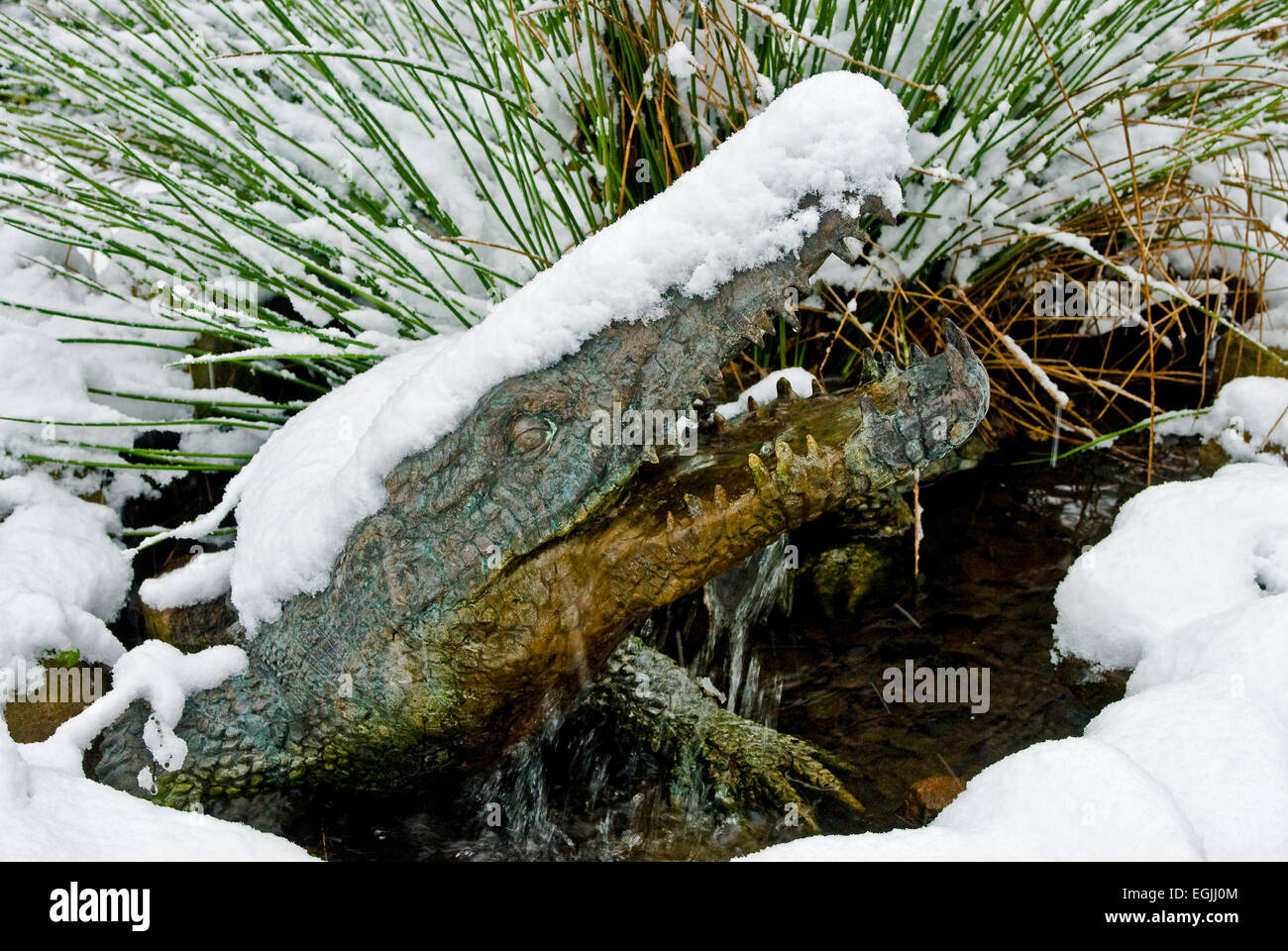 Statue en bronze d'une fontaine d'un crocodile d'une couverture de neige Banque D'Images
