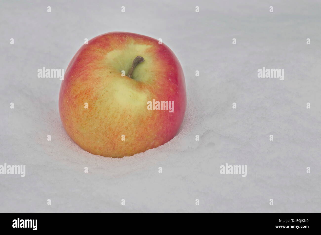 Réfrigérer les fruits Apple dans la neige-dérive au jardin, Sofia, Bulgarie Banque D'Images