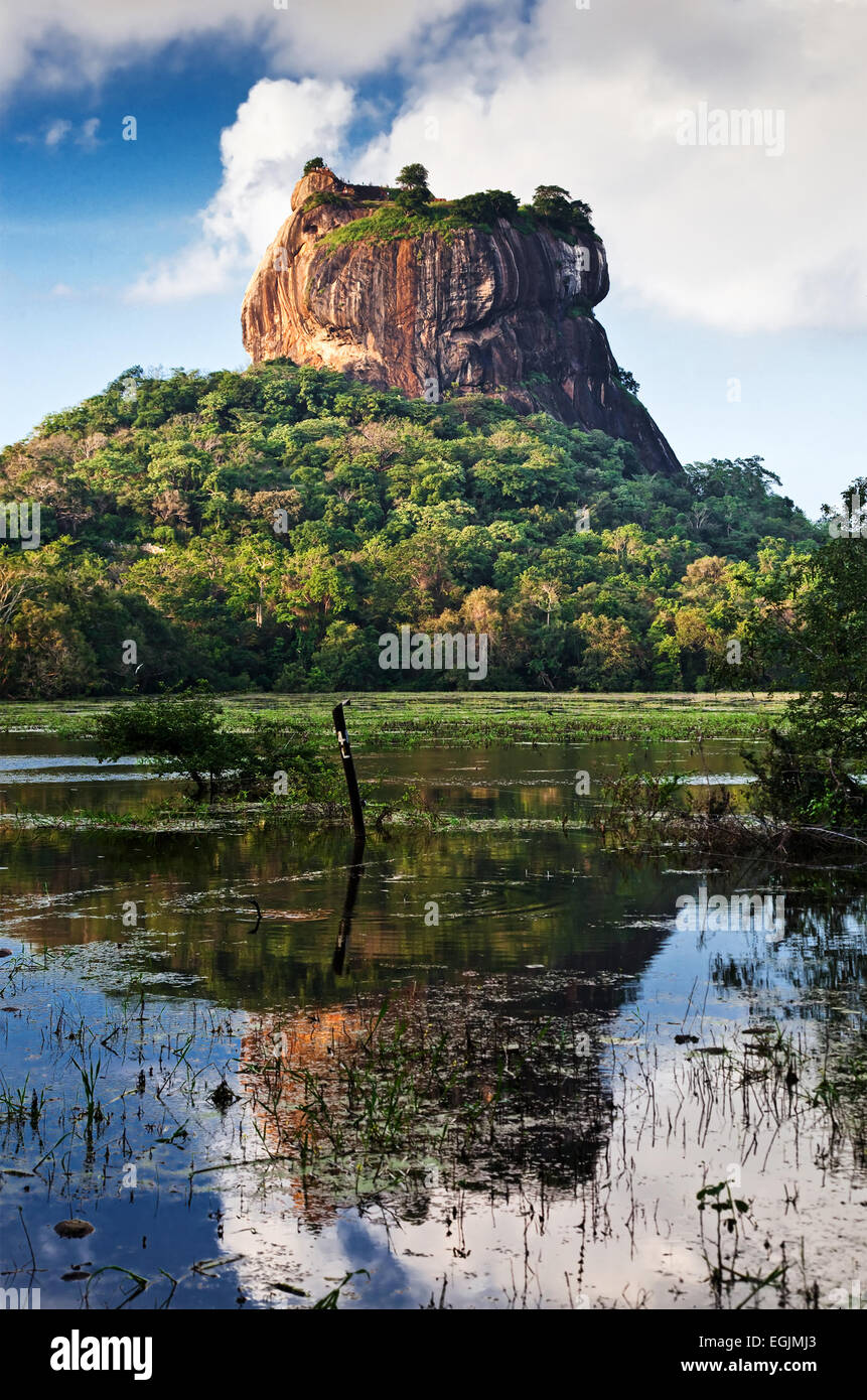 Lion Sigiriya Rock Fortress in Sri Lanka Banque D'Images