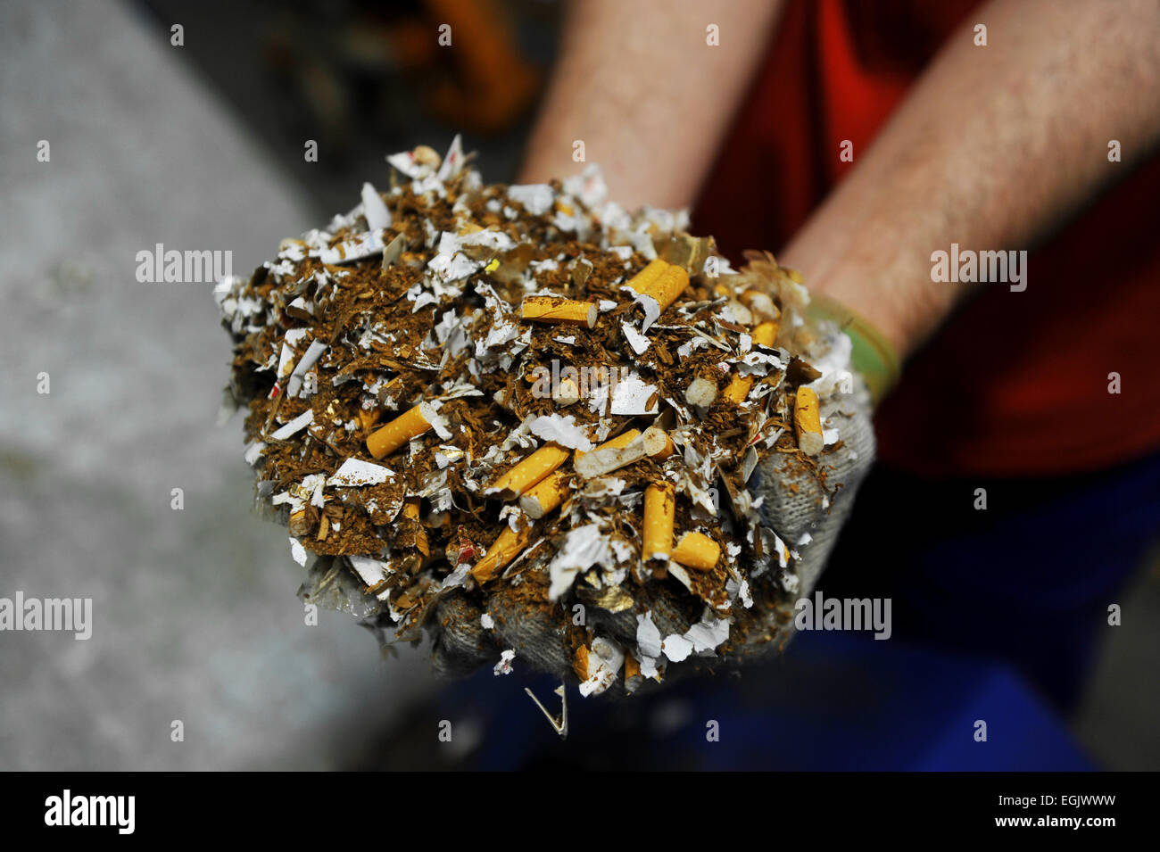 Mains d'un homme tenant un tas de fausses cigarettes détruit Banque D'Images