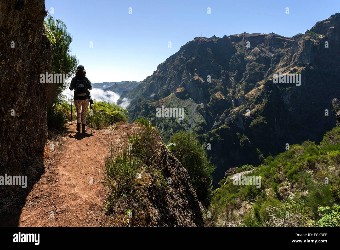 Trail de la Pousada Do Arieiro à Pico Ruivo, Parque Natural da Madeira, Madère, Portugal Banque D'Images