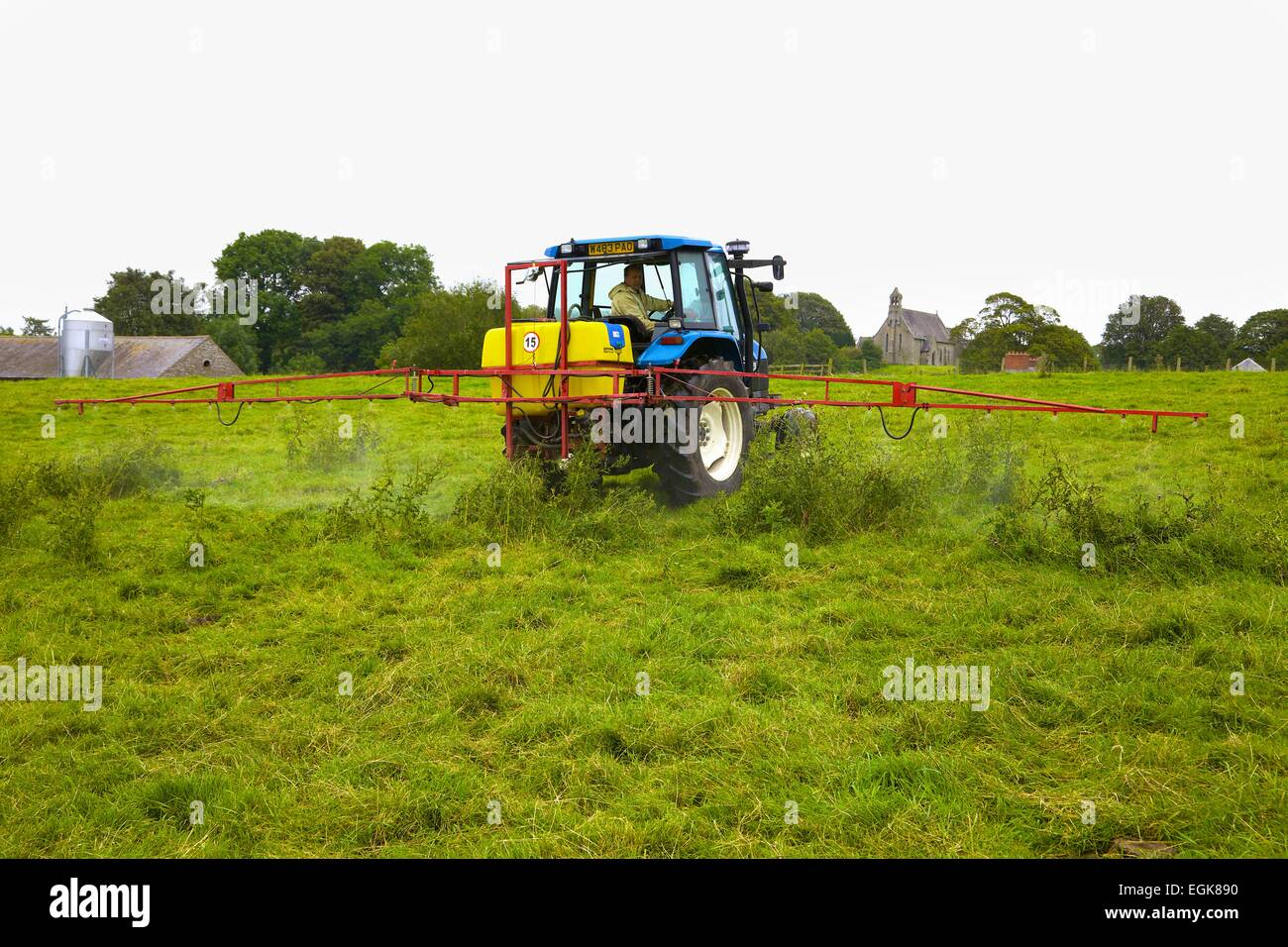 Tracteur New Holland T90 avec pulvérisateur, pulvériser les chardons. Banque D'Images