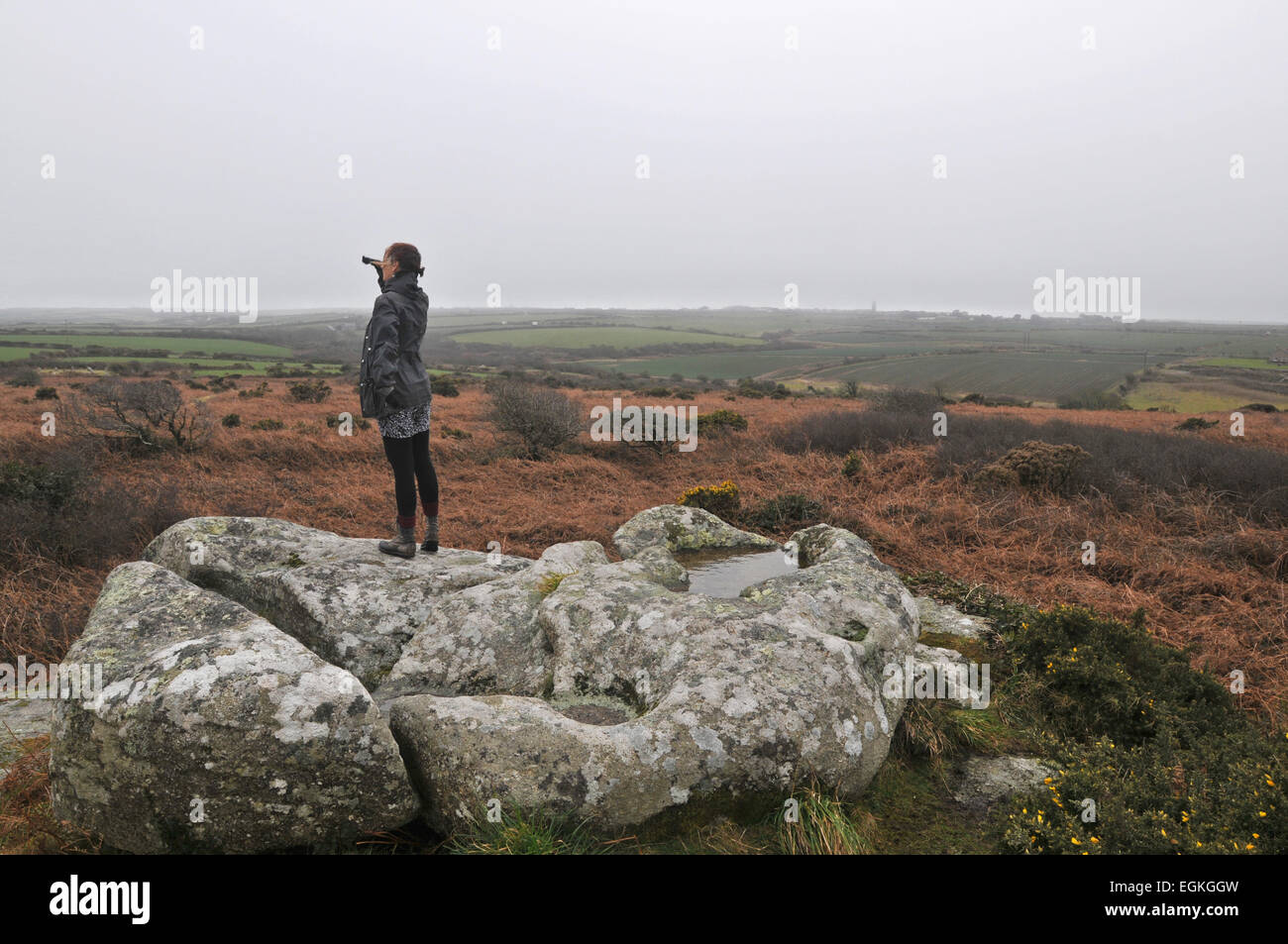 Une femelle adulte se dresse sur un rocher de granit à Cornwall, UK à dans la distance Banque D'Images