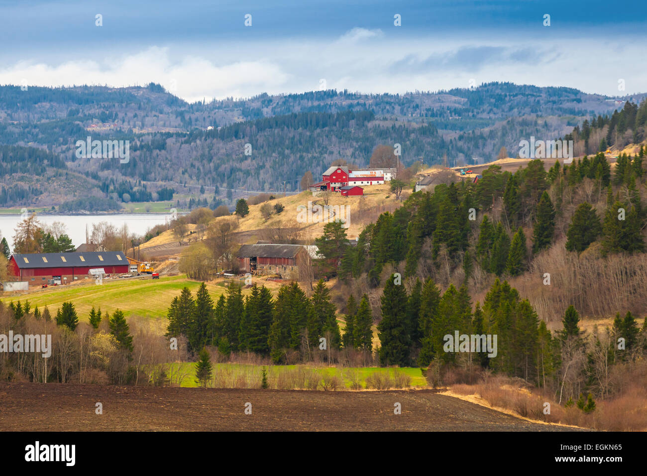 Paysage norvégien rurale avec des maisons en bois rouge sur les collines Banque D'Images