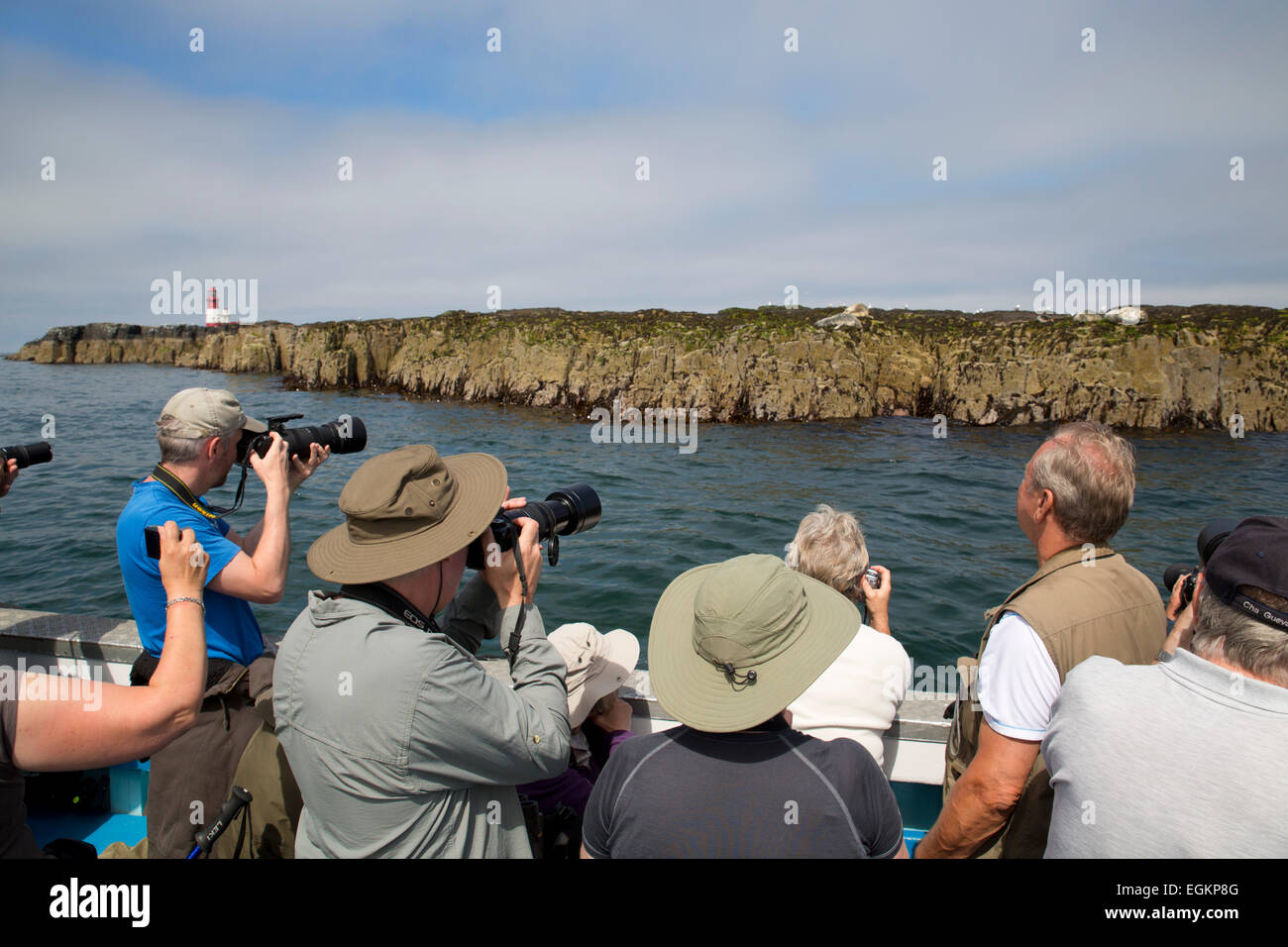 Les photographes ; prendre des photos de phoques Iles Farne Northumberland ; UK Banque D'Images