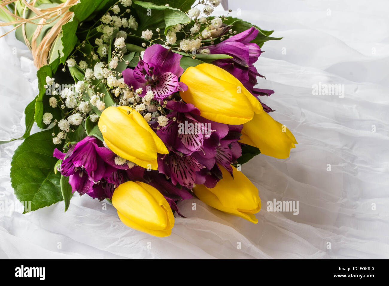 Fleurs de Printemps - tulipe jaune et violet (alstroemeria lis des Incas du Pérou ou lily) - Fond blanc Banque D'Images