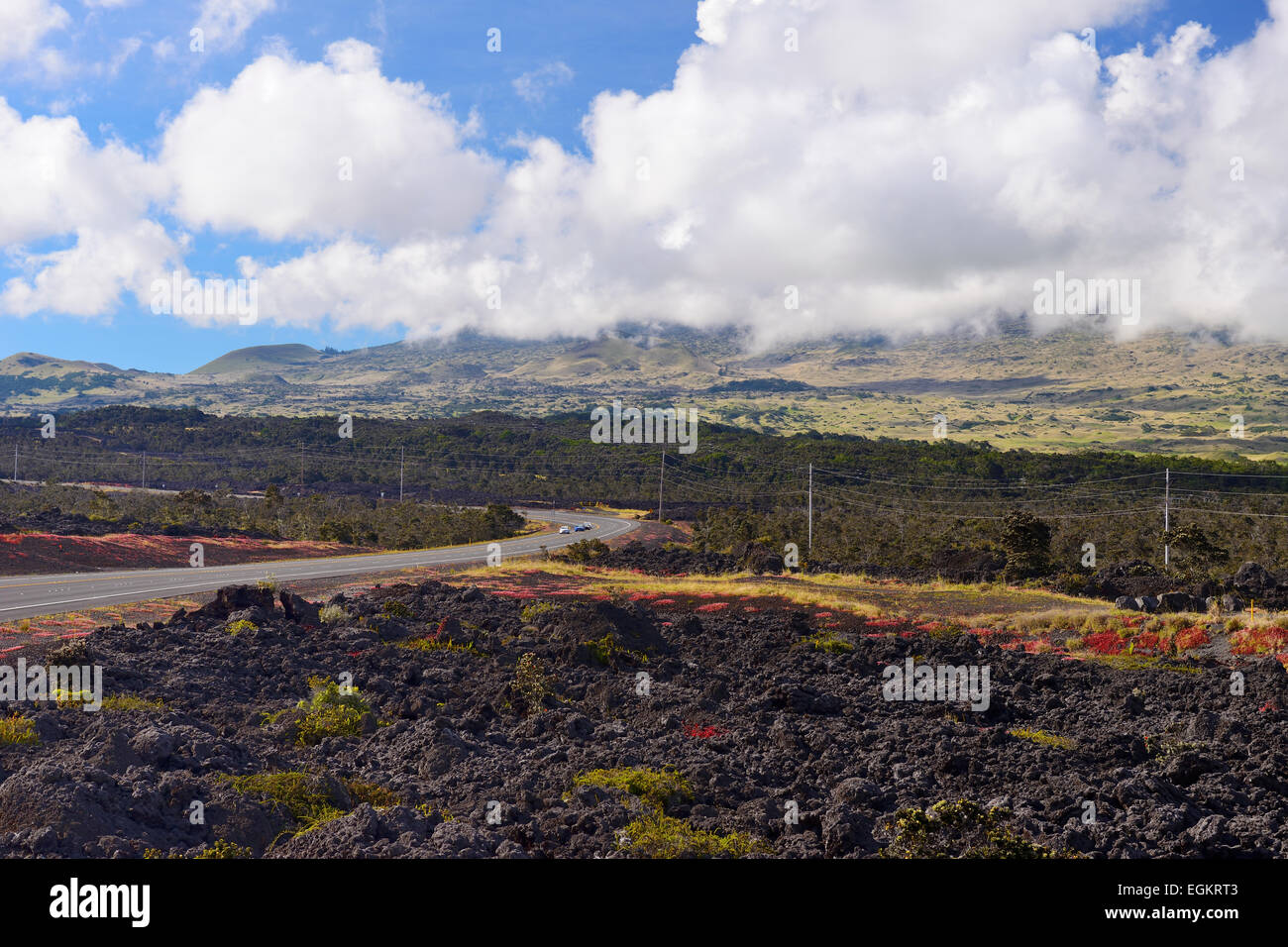 Les coulées de lave noire à côté de Saddle Road (Route 200) entre Hilo et Waimea, Big Island, États-Unis Banque D'Images