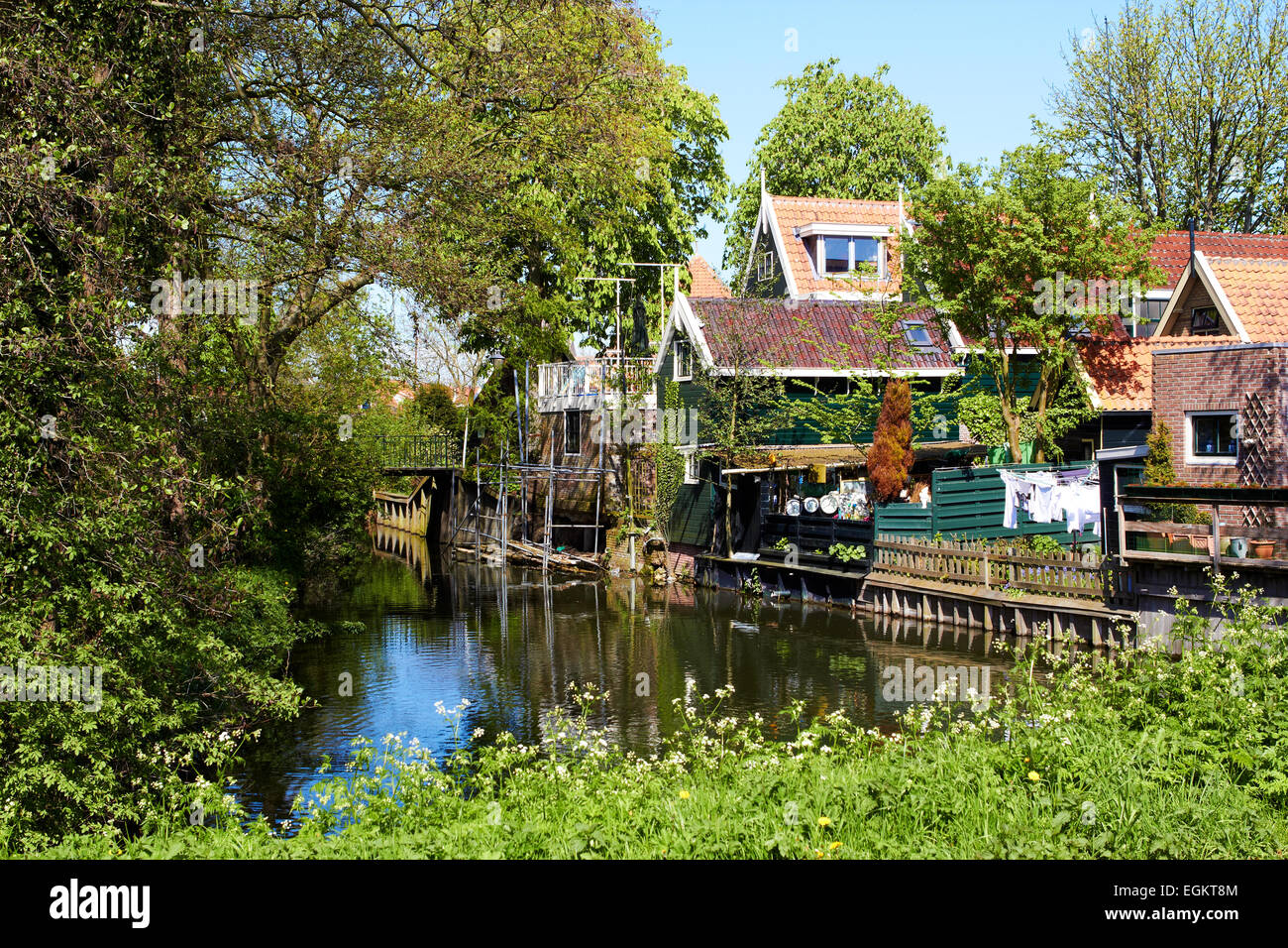Paysage rural pittoresque avec des maisons typiquement néerlandais au printemps Banque D'Images