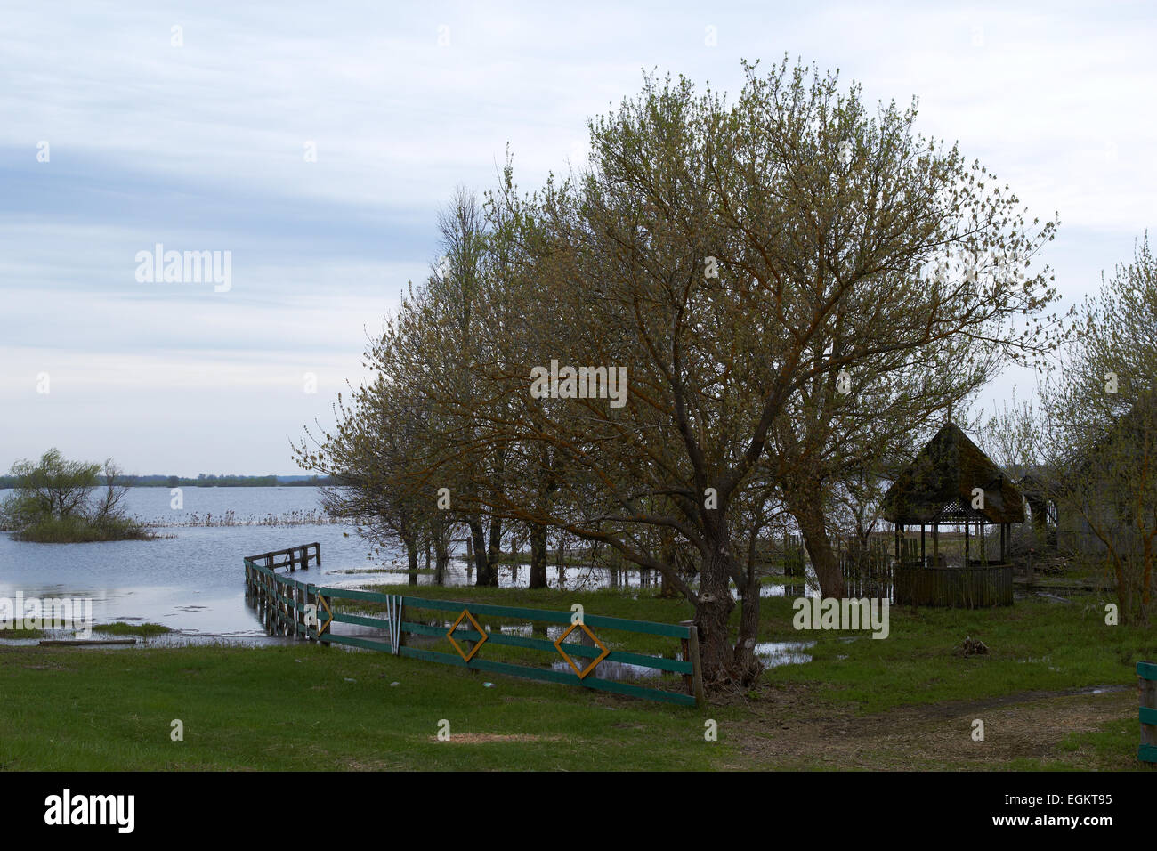 Panorama du printemps avec le fleuve en crue de pluie jour Belarus Banque D'Images