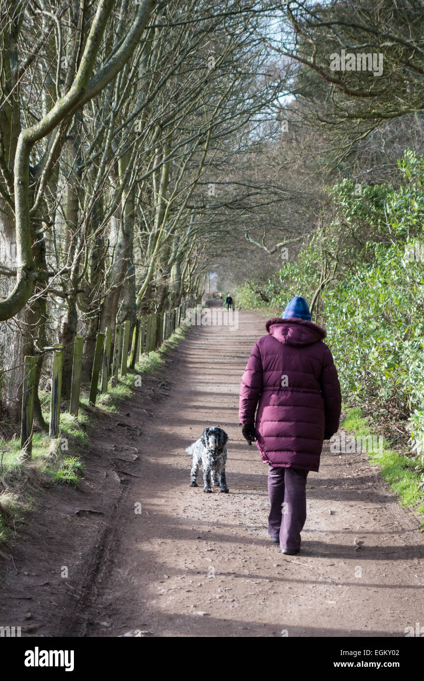 Femme marche à Tyninghame, East Lothian Banque D'Images