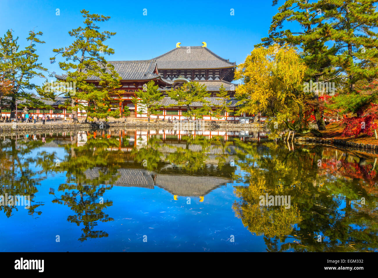 Temple Todai-ji en automne, Nara, Japon. Banque D'Images
