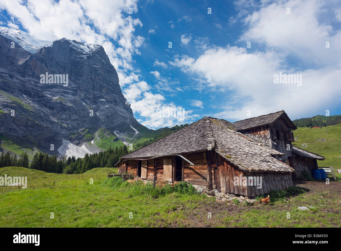 L'Europe, Suisse, Alpes Suisses Jungfrau-Aletsch, UNESCO World Heritage site, Wetterhorn 3692m Banque D'Images