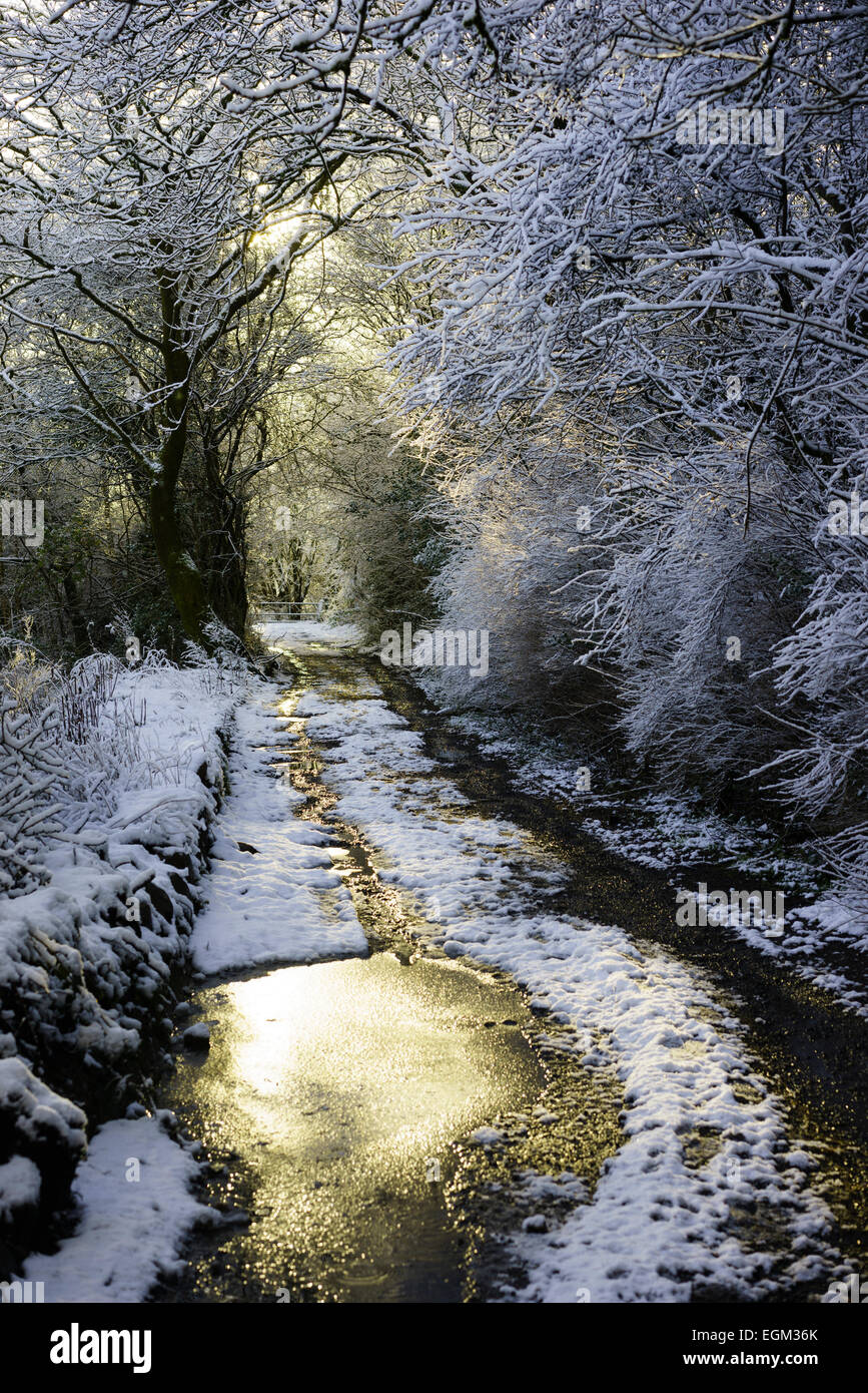 Chemin de campagne au Pays de Galles dans la neige. Banque D'Images