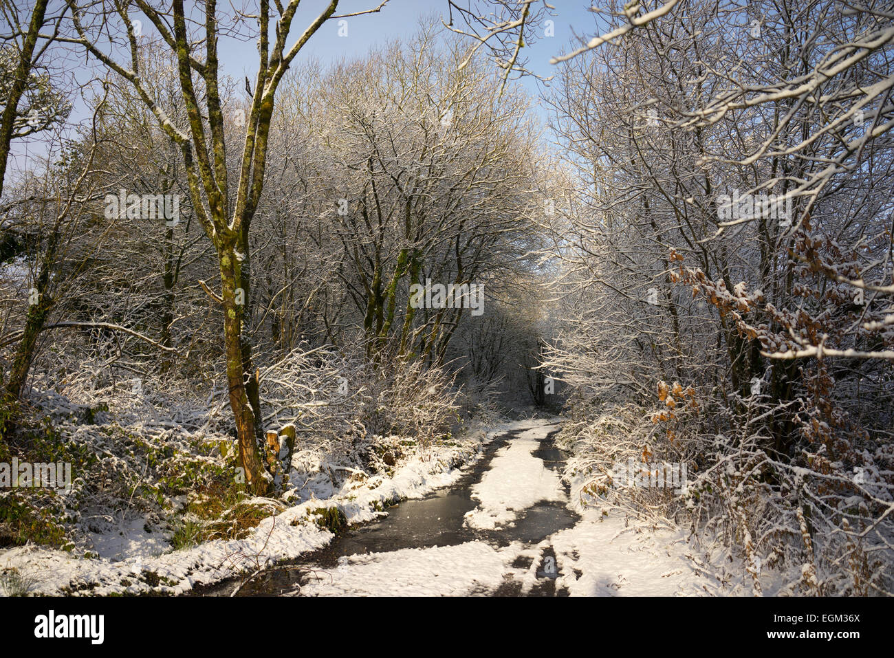Chemin de campagne au Pays de Galles dans la neige. Banque D'Images