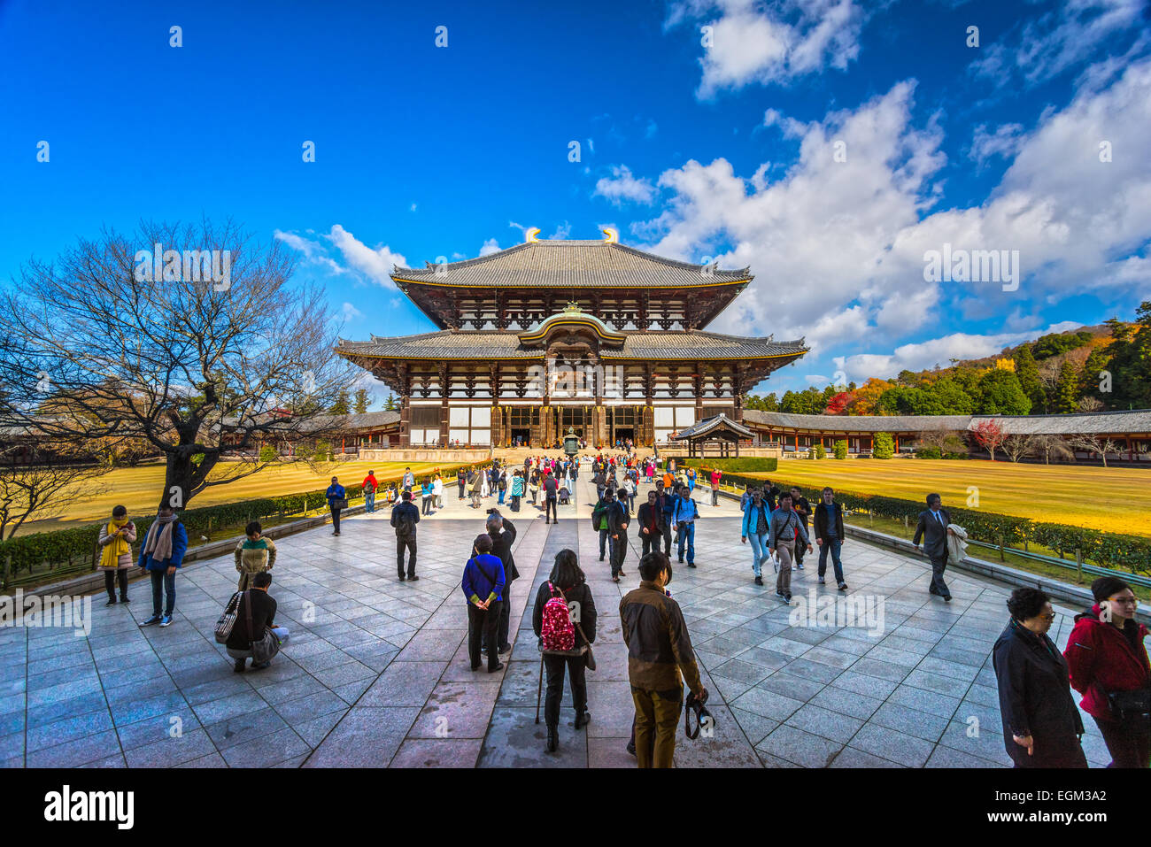Salle principale du Todaiji, le Daibutsuden (Salle du Grand Bouddha) est le plus grand bâtiment en bois du monde, Banque D'Images