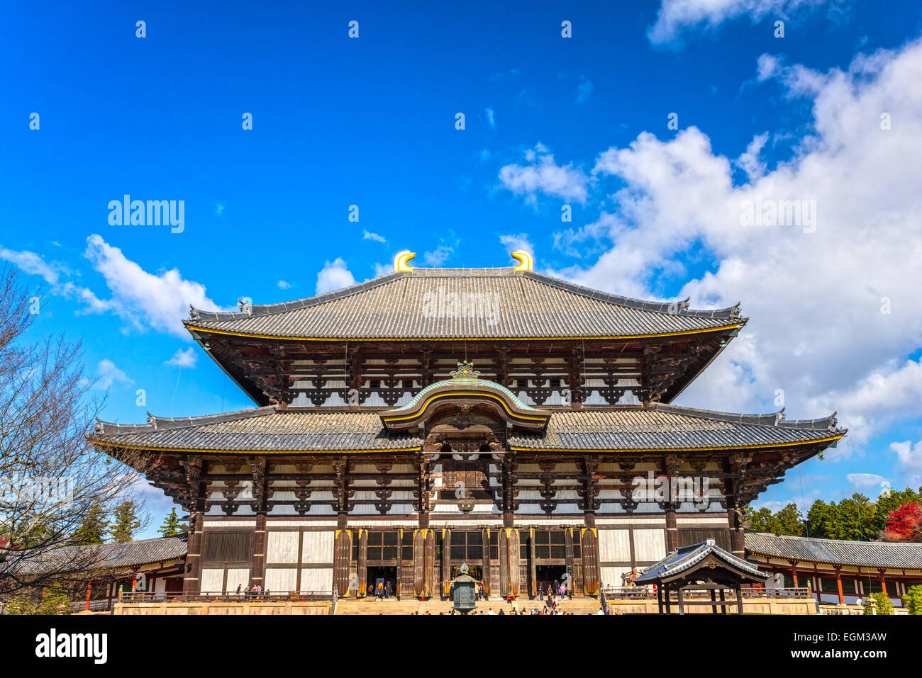 Temple Todai-ji du hall principal, Nara, Japon. Banque D'Images