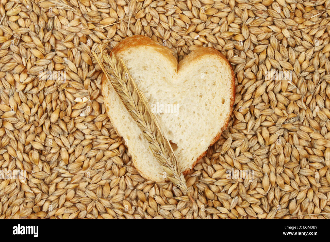 Tranche de pain en forme de cœur entouré de grains d'orge avec un épi d'orge Banque D'Images