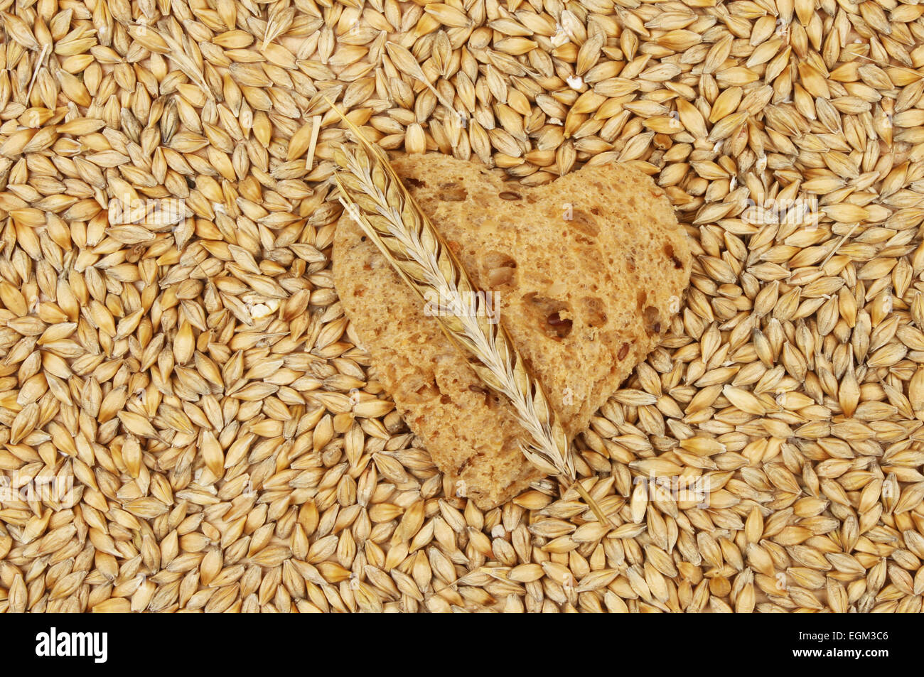 Pain complet en forme de cœur entouré de grains d'orge avec une oreille d'orge prévue en haut Banque D'Images