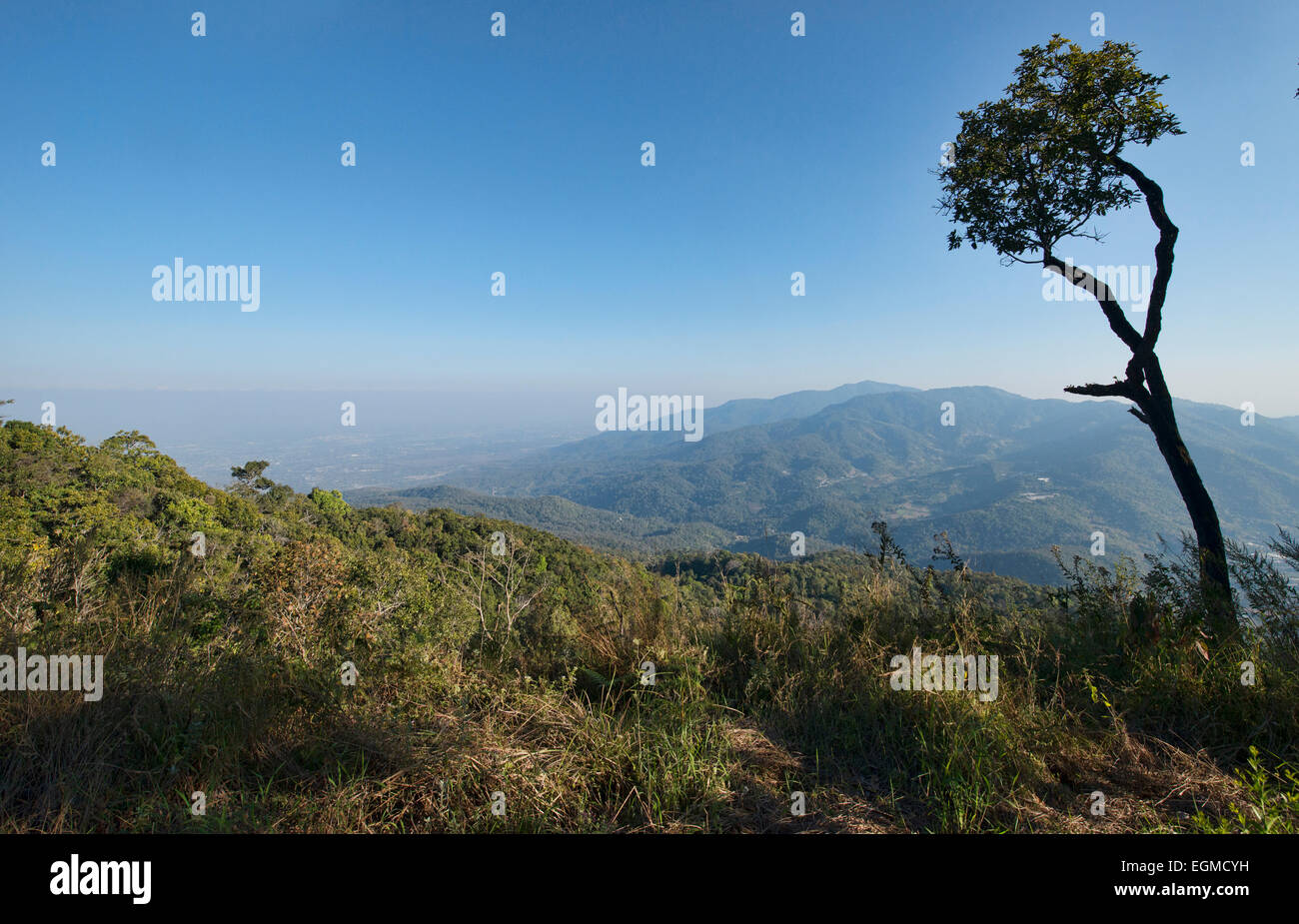 Vue sur la vallée de Mae Sa de Mong Long dans mon confiture, Chiang Mai, Thaïlande Banque D'Images