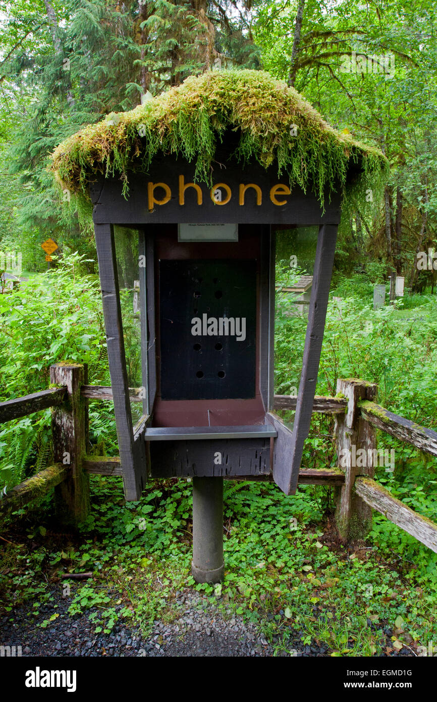 Une vieille cabine téléphonique avec moss toit couvrant près de parking à Hoh Rain Forest, Olympic National Park, Washington, USA en Juin Banque D'Images