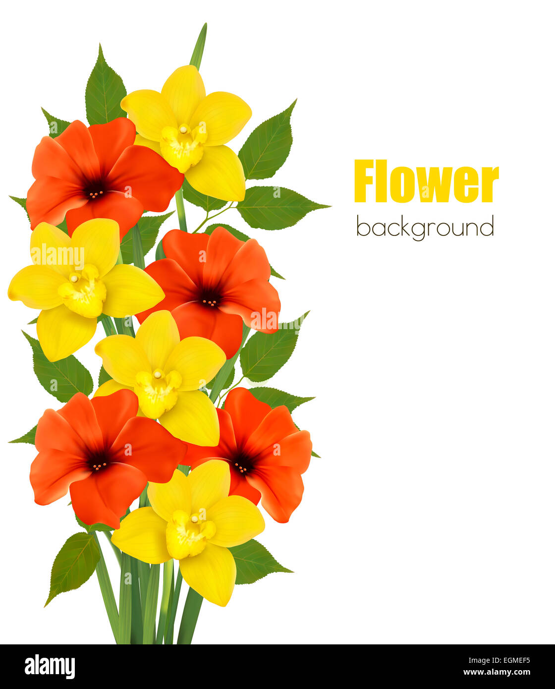 Fond avec de belles fleurs colorées. Vector illustration Banque D'Images