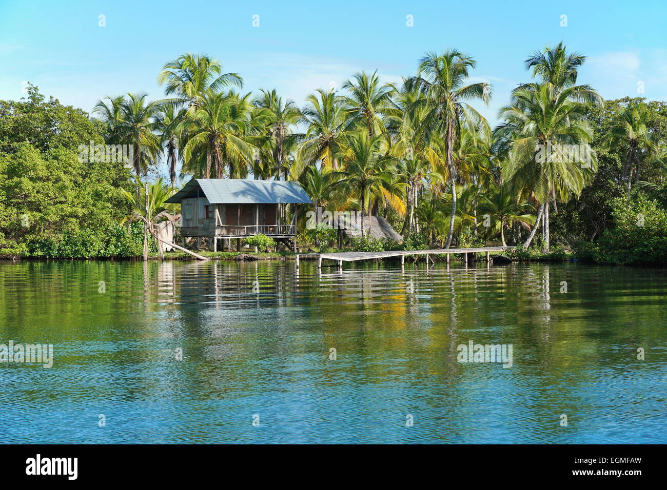 Hutte amérindienne rustique avec dock sur la côte tropical avec des cocotiers, Bocas del Toro, PANAMA, Amérique Centrale, Caraïbes Banque D'Images