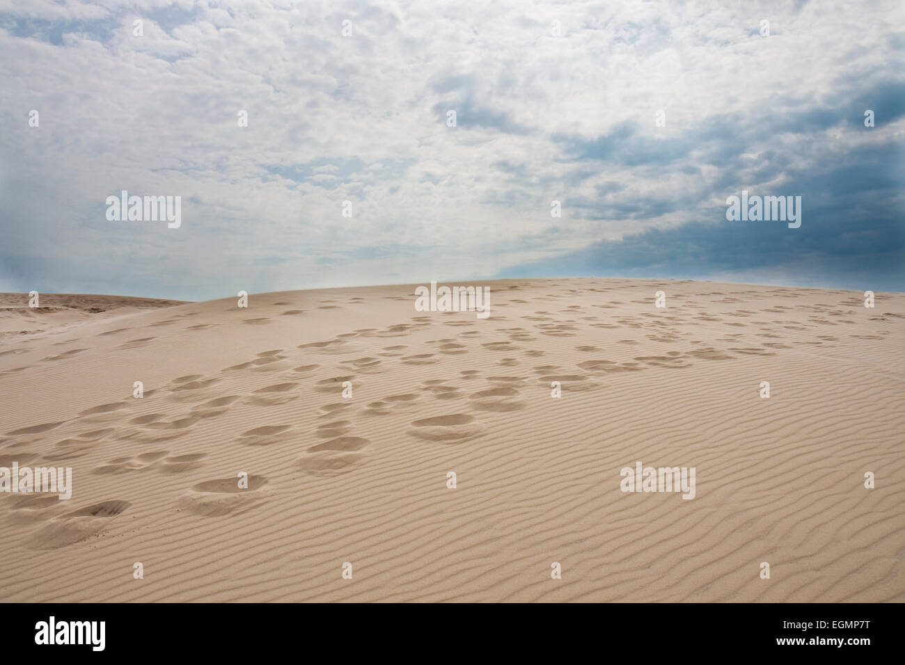 Des pas dans le sable à Raabjerg Mile près du Danemark, Skagen Banque D'Images
