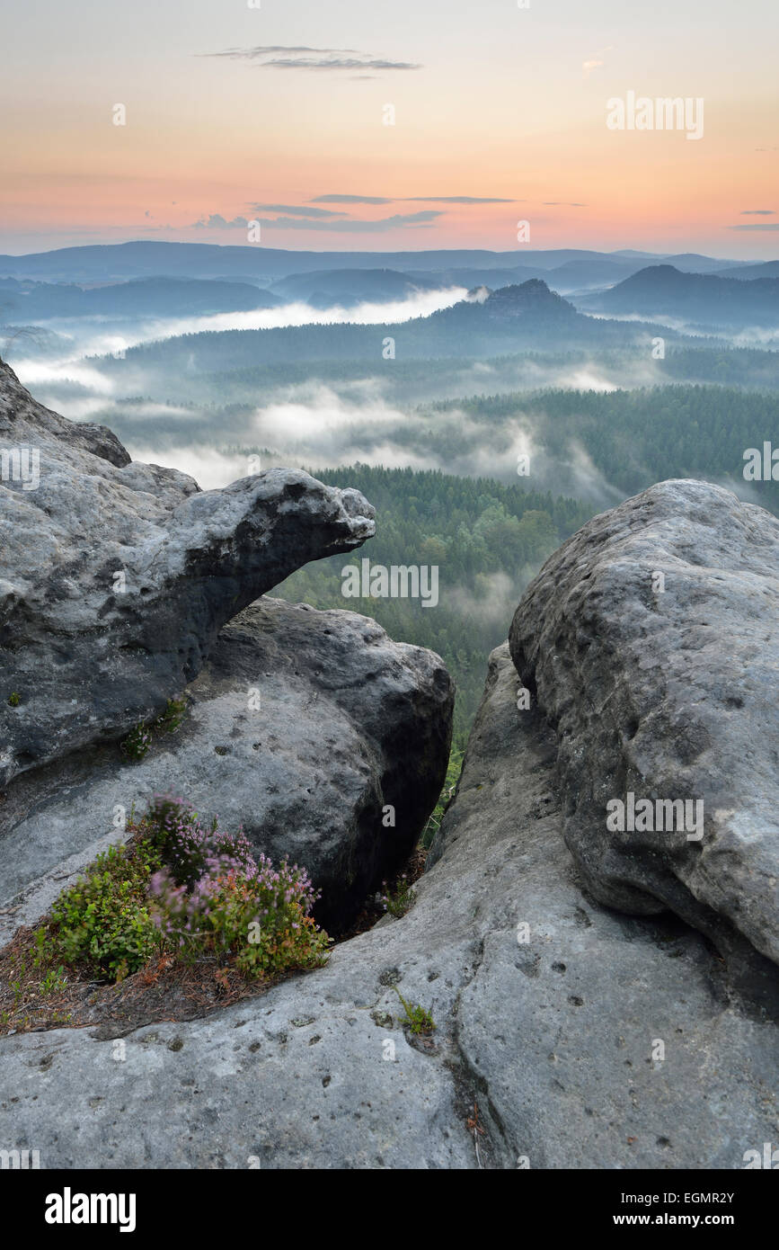 Vue de Kleiner Winterberg mountain à l'aube, des montagnes de grès de l'Elbe, la Suisse Saxonne, Saxe, Allemagne Banque D'Images