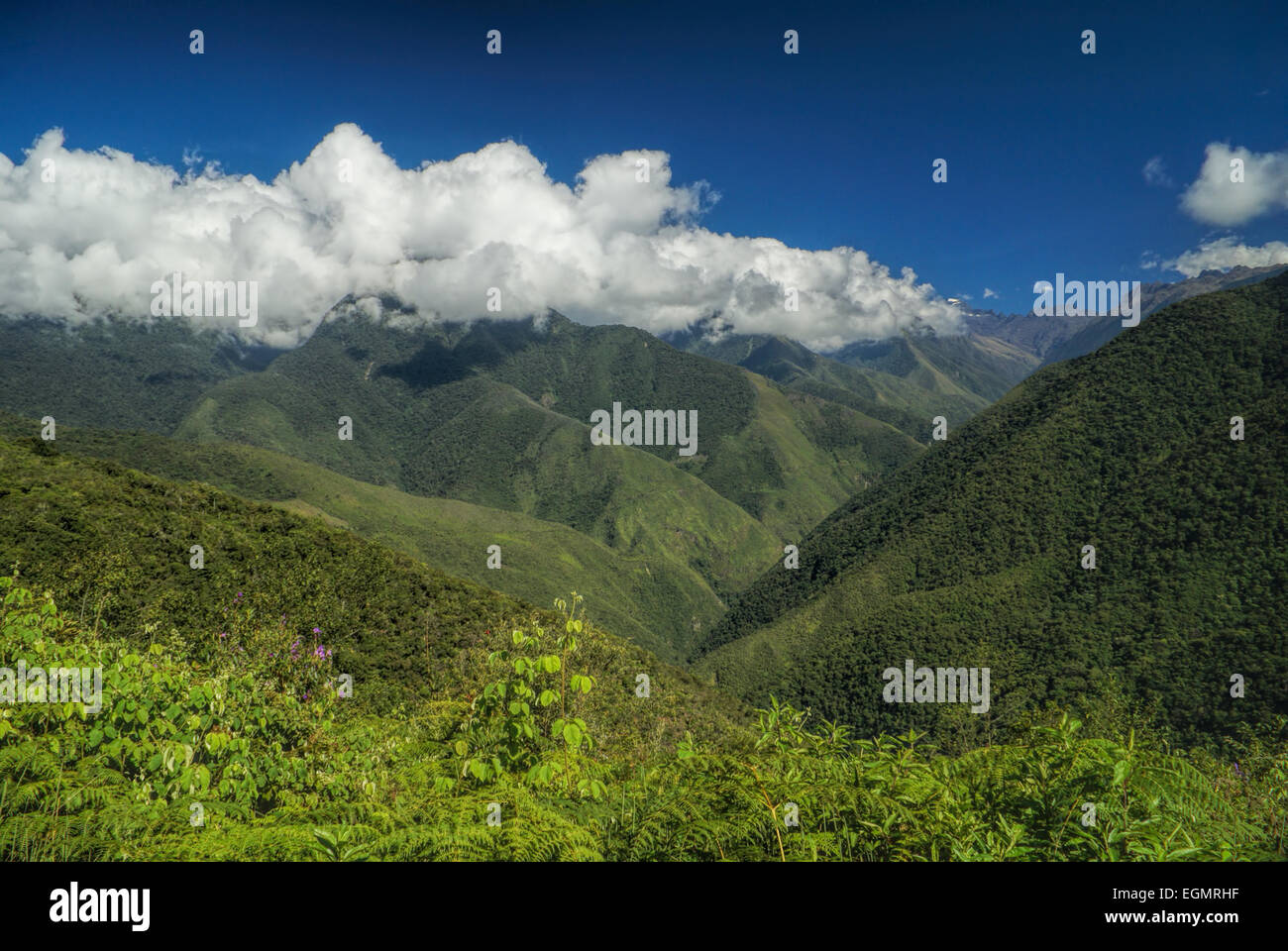 Verte vallée pittoresque dans les Andes, en Bolivie sur Choro trek Banque D'Images