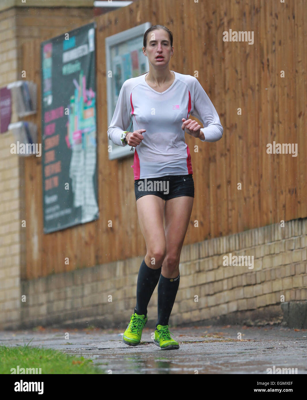 Fortes pluies à Londres n'a pas dissuader dog walkers ou joggeurs à Hampstead mais a fermé la foire dans le parc Victoria dispose d''atmosphère où : London, Royaume-Uni Quand : 25 août 2014 Banque D'Images