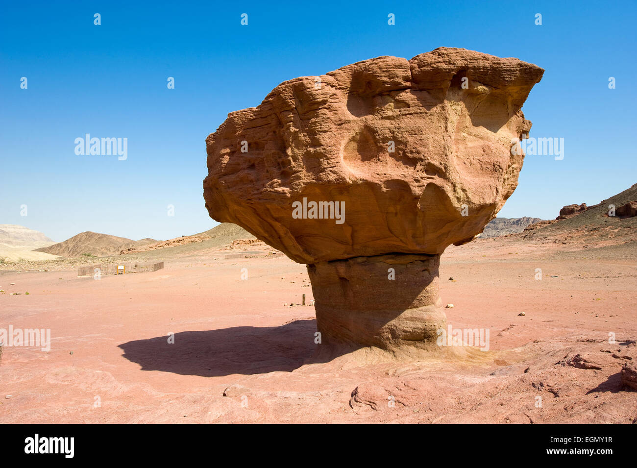 'Le' Champignons rock formation à Timna Park dans le sud du désert du Néguev en Israël Banque D'Images