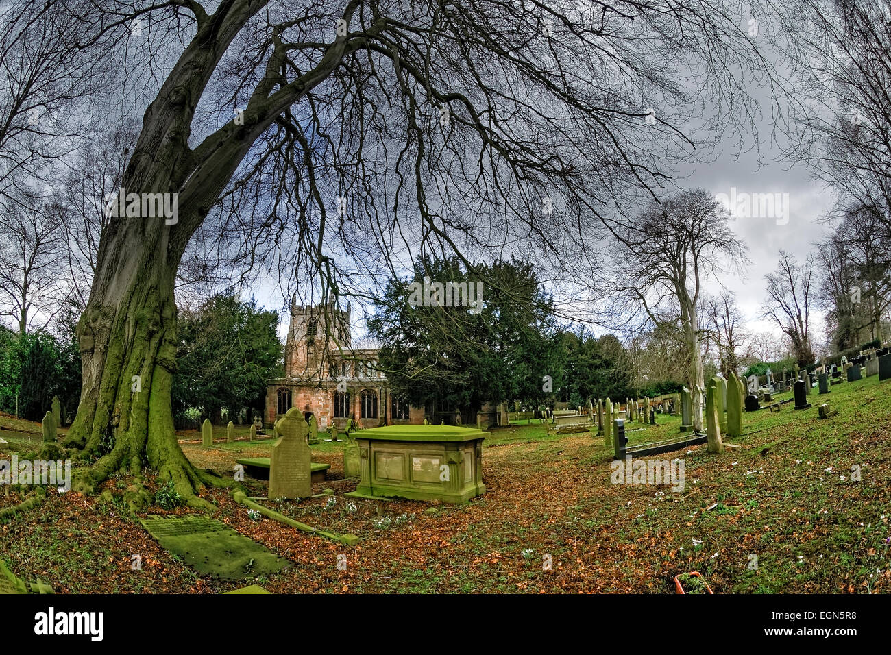 Vue grand angle de l'église de St Oswald, Brereton, Cheshire, en arrière-plan ; tronc de l'arbre et des tombes en premier plan. Banque D'Images