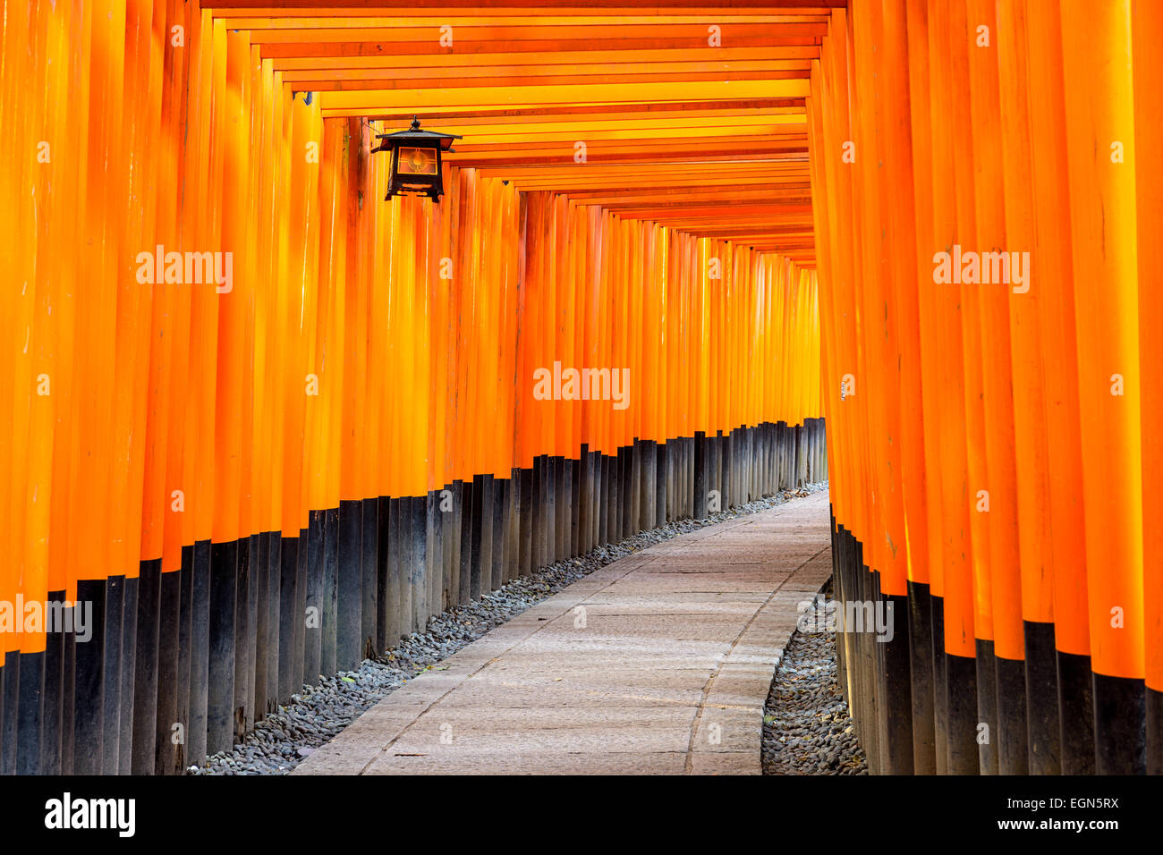 Fushimi Inari torii gates à Kyoto, au Japon. Banque D'Images