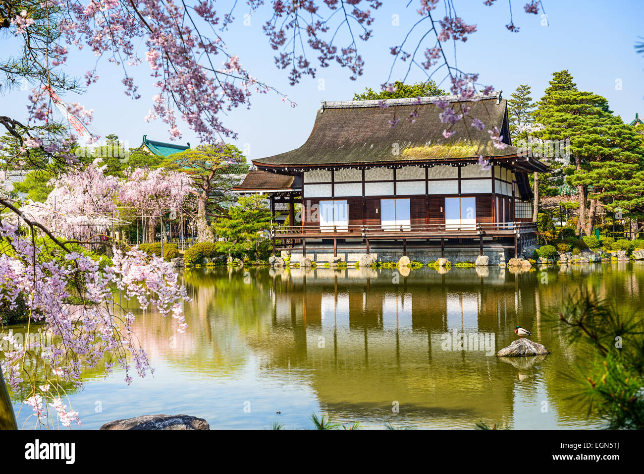 Kyoto, au Japon, au printemps à l'étang Sanctuaire Heian-jardin. Banque D'Images