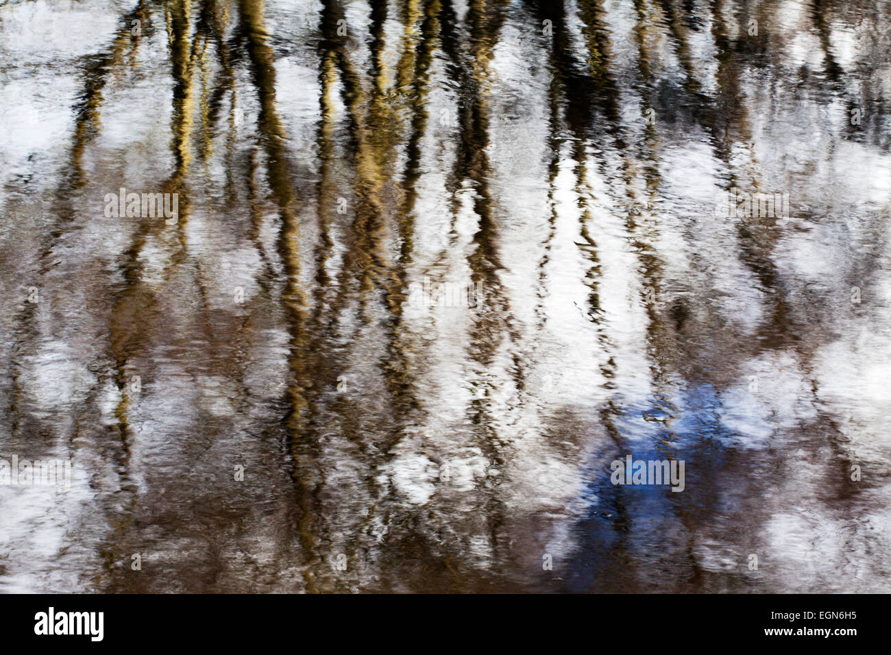 Arbre d'hiver réflexions dans la rivière Nidd à North Yorkshire Angleterre Knaresborough Banque D'Images