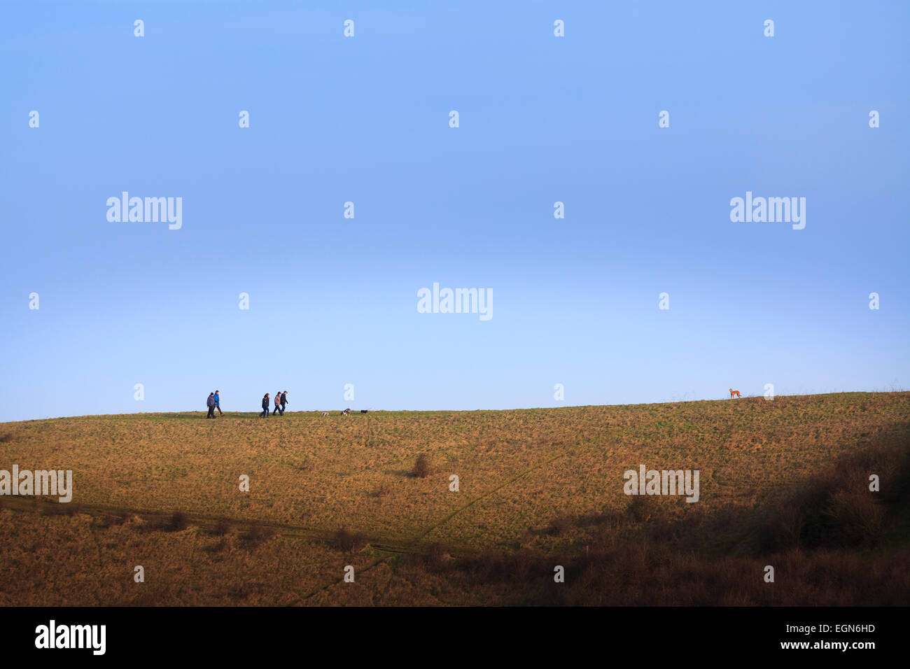 Groupe de marcheurs et de la crête de chien sur la colline parlementaire contre le ciel bleu à distance Banque D'Images