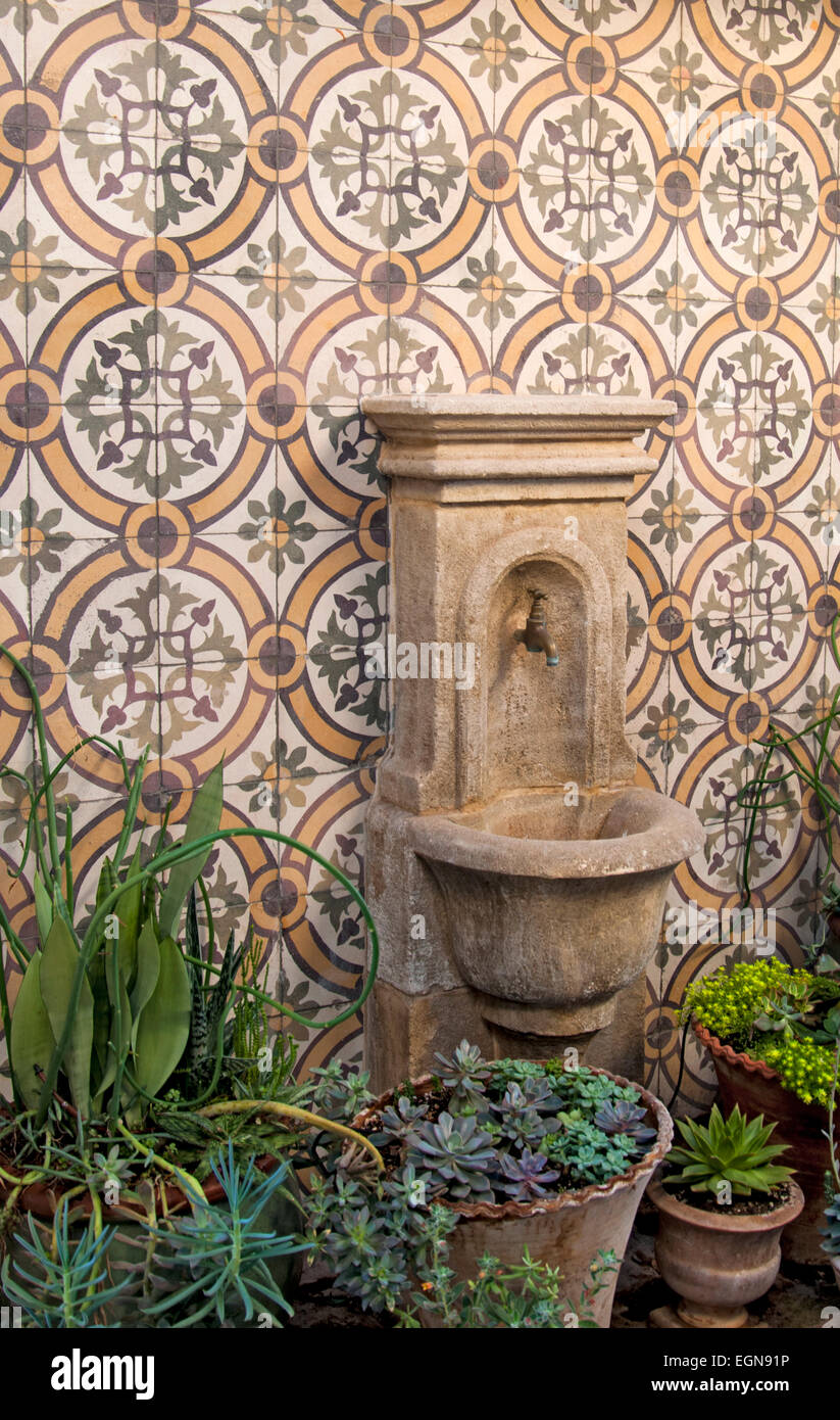 Fontaine murale avec des conteneurs de plantes grasses près de mur carrelé marocain Banque D'Images