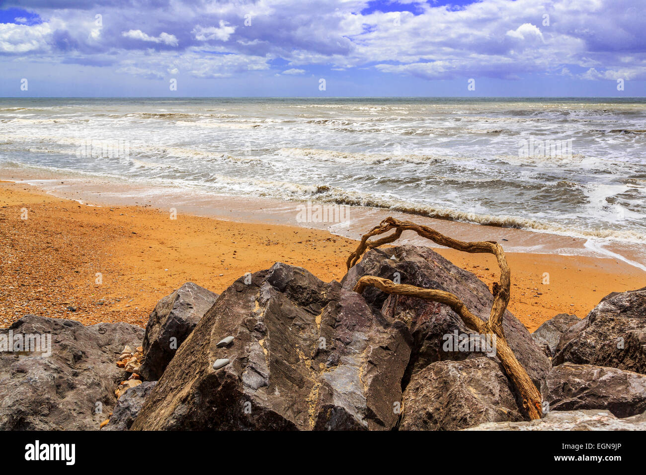 Rock & driftwood sur une plage de la côte sud, Dorset, England, UK Banque D'Images