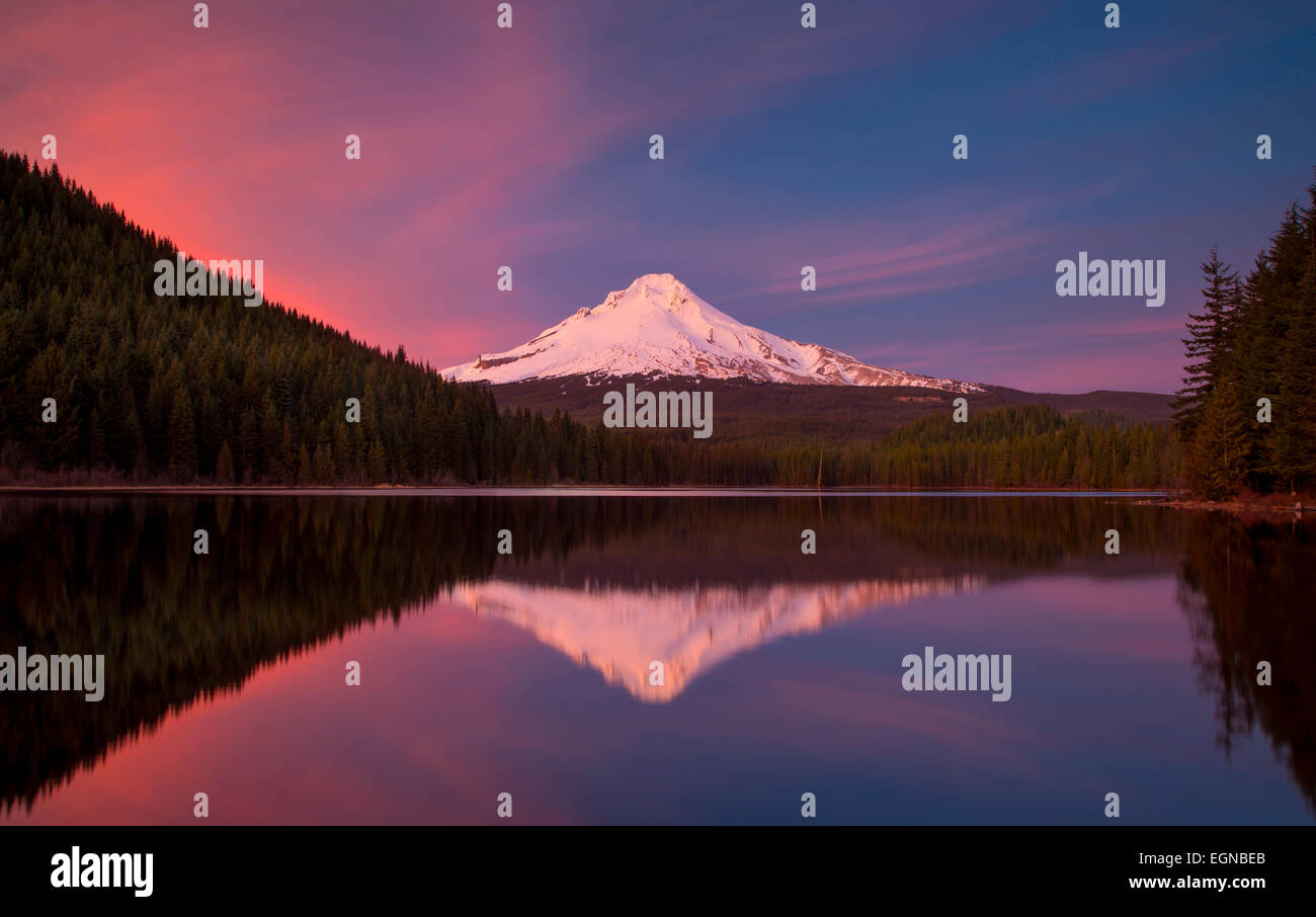 Définition du soleil sur le mont Hood de Trillium Lake, des cascades, de l'Oregon, USA Banque D'Images