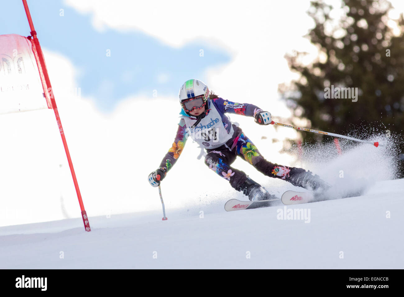 Passo Campolongo - Arabba, Italie 11 janvier 2015. Emma Dalla Pozza (Ita) en compétition dans le Grand Prix Lattebusche Banque D'Images