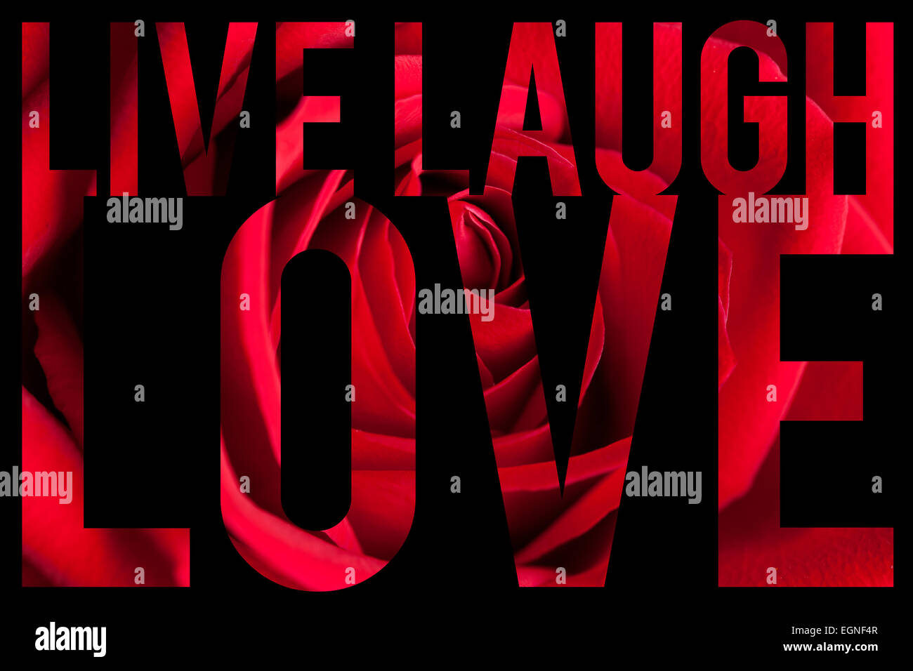 Webcam live Laugh Love Banque D'Images