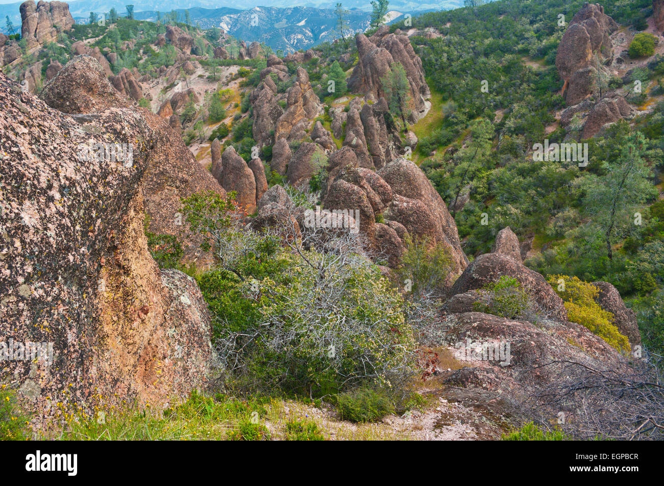 Vue d'ensemble des Pinnacles National Park, sur le sentier vers les hauts sommets, California, United States Banque D'Images