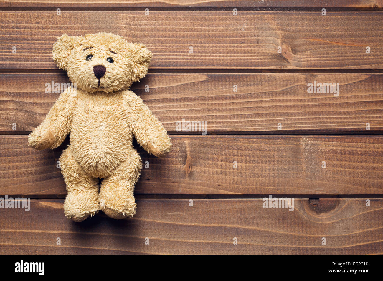 L'ours sur table en bois Banque D'Images