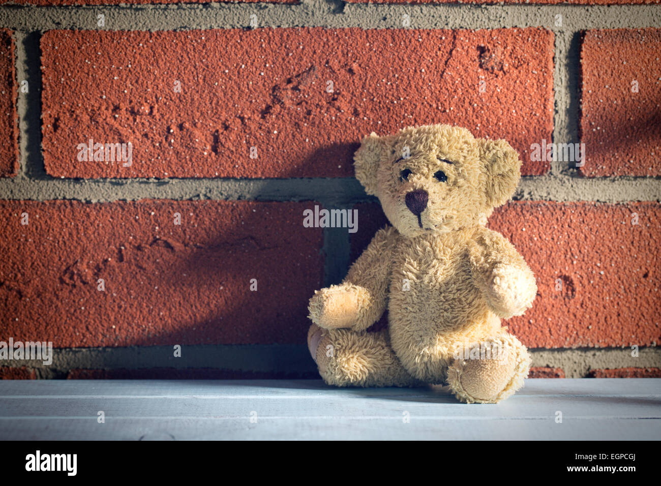 L'ours s'asseoir devant un mur de briques Banque D'Images